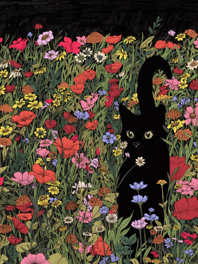 Black Cat Flower Field by EC Mazur — canvas wall art