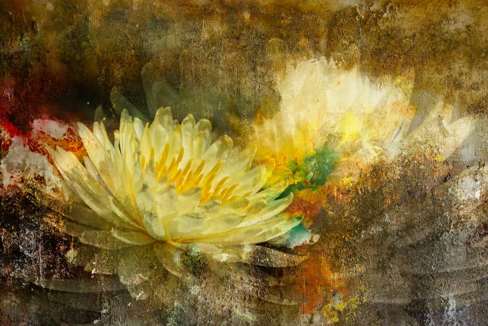 Golden Lotus Bloom by Igor Kopcev — canvas wall art