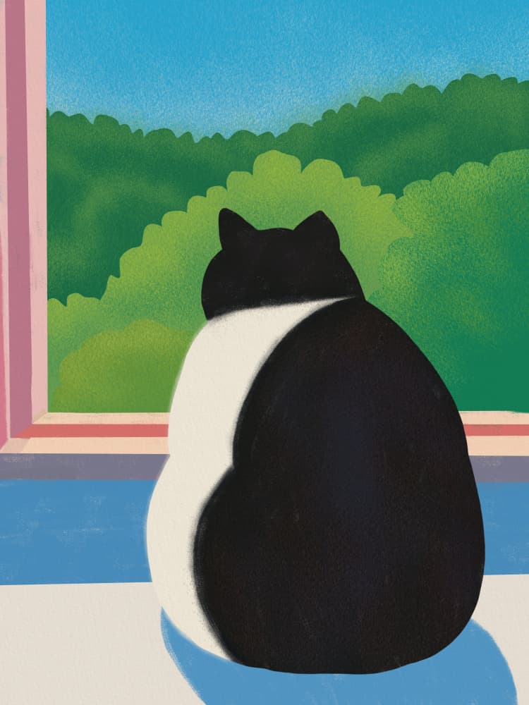 Serene Cat View by Little Dean — canvas wall art