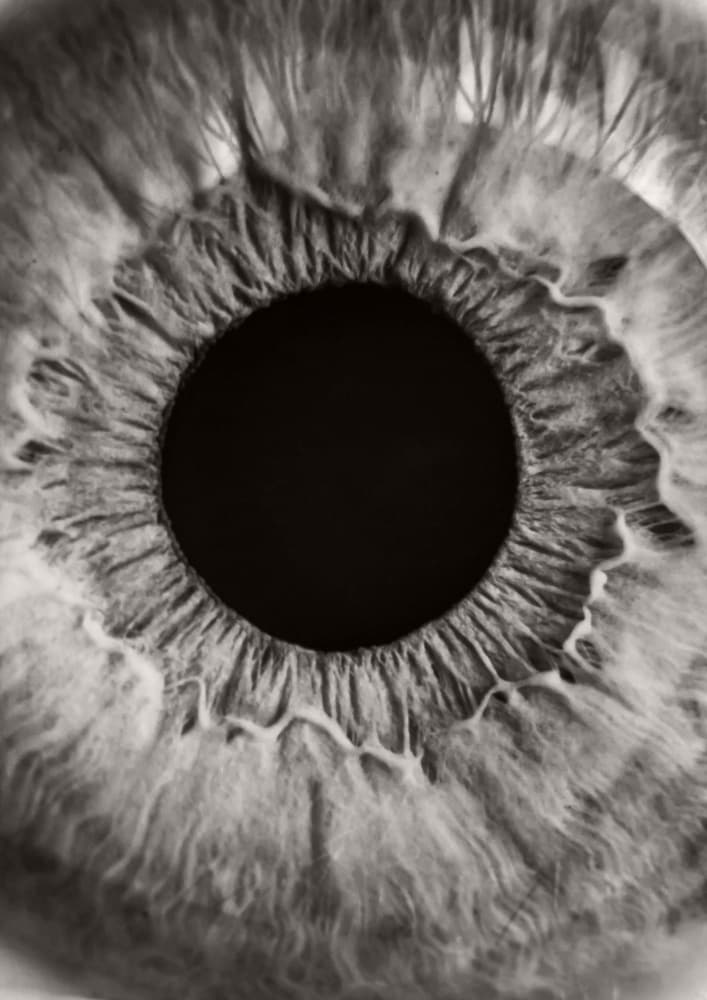 Intricate Human Eye by Marianne Bassil — canvas wall art