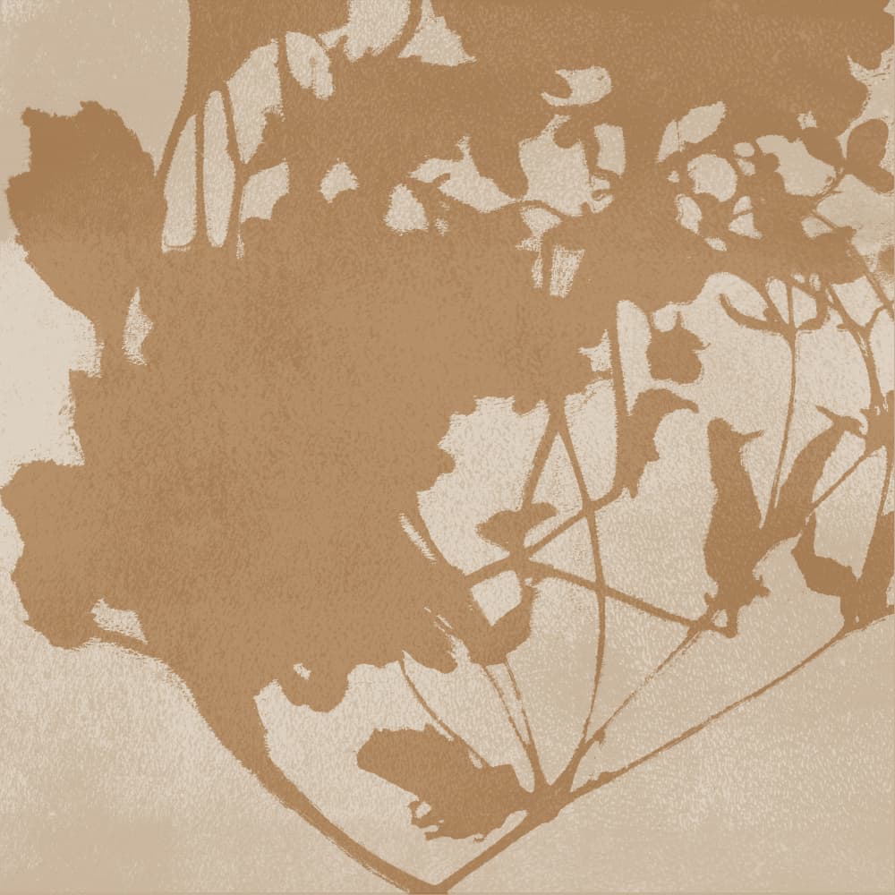 Botanical Shadow Play by Dina Dankers — canvas wall art