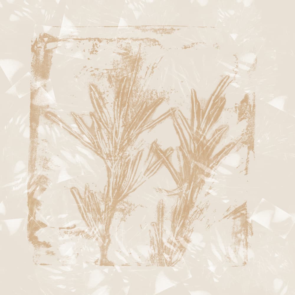 Earthy Botanical Study by Dina Dankers — canvas wall art