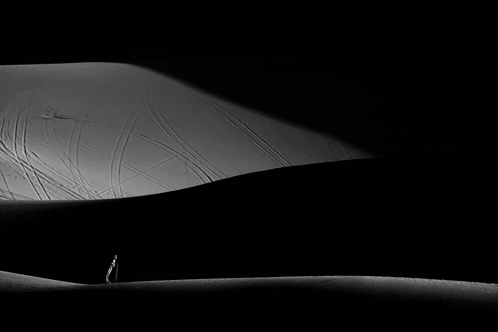 Desert Solitude by Gina Buliga — canvas wall art
