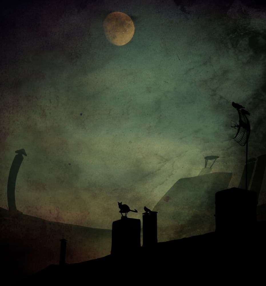 Moonlit Cat On Rooftop by Robert Fabrowski — canvas wall art