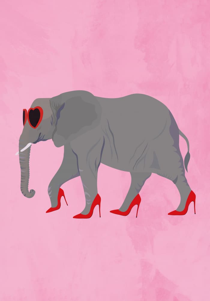 Stylish Elephant Pink Heels by Sarah Manovski — canvas wall art