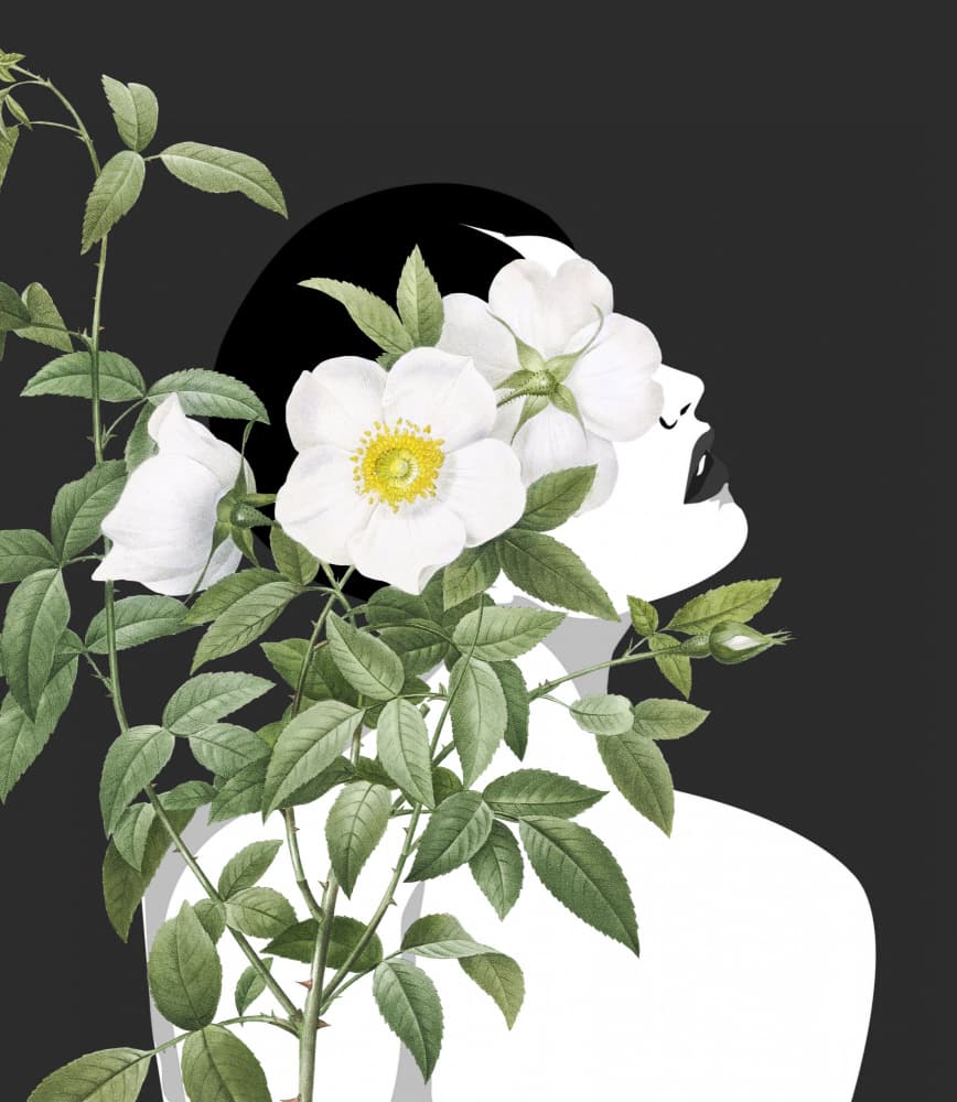 Woman with White Roses by Marja van den Hurk — canvas wall art