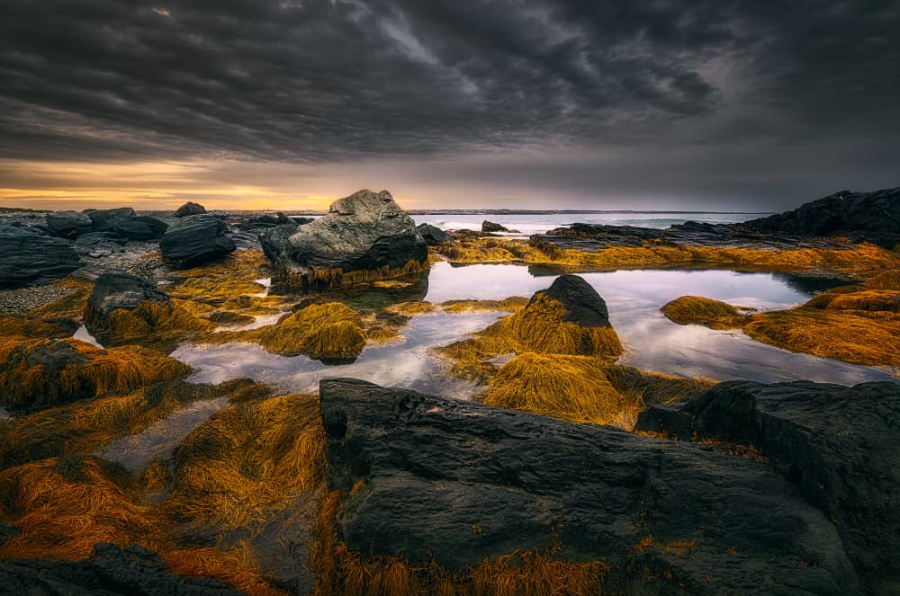 Golden Coastal Tide by Ben.C.L — canvas wall art