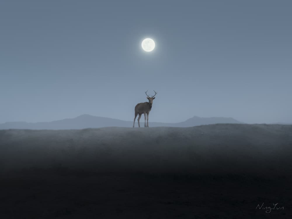 Elk in the mist by NingYun Ye — canvas wall art