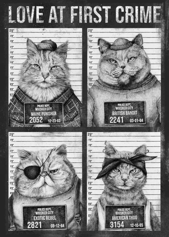 Love At First Crime by Mike Koubou — canvas wall art