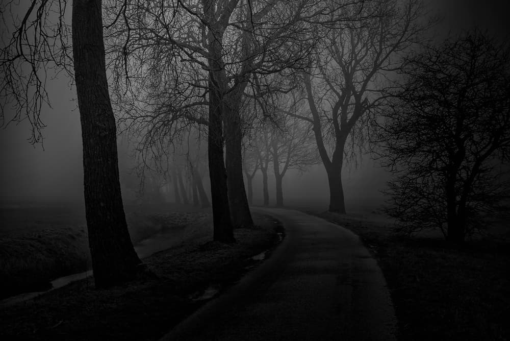 Winding Foggy Road by Jacob Tuinenga — canvas wall art