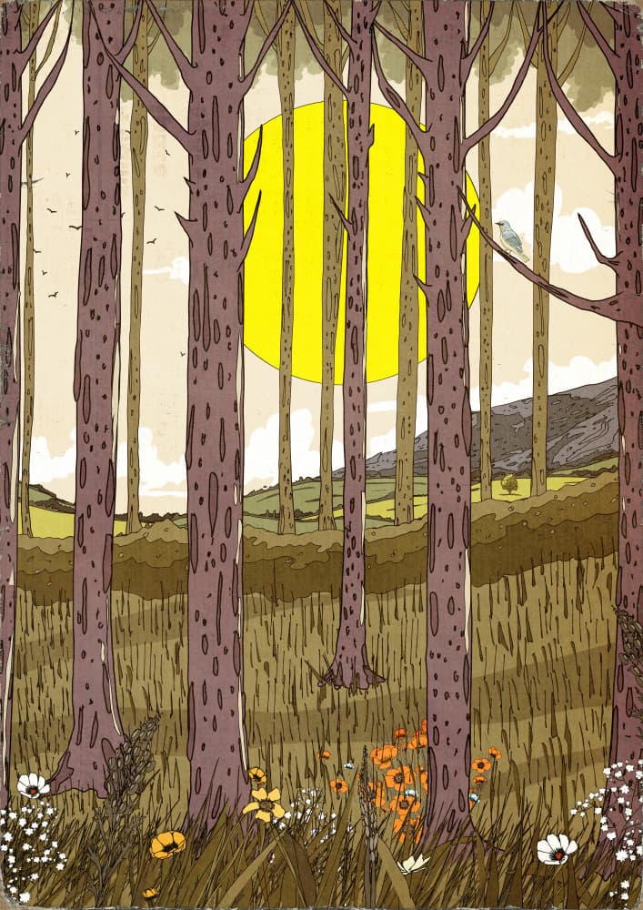 Sunlit Forest Blooms by Nicholas — canvas wall art