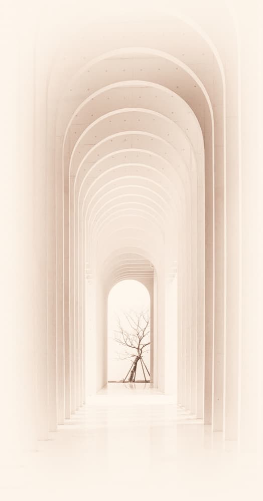 Serene Archway Tree by Grace Guo APA — canvas wall art