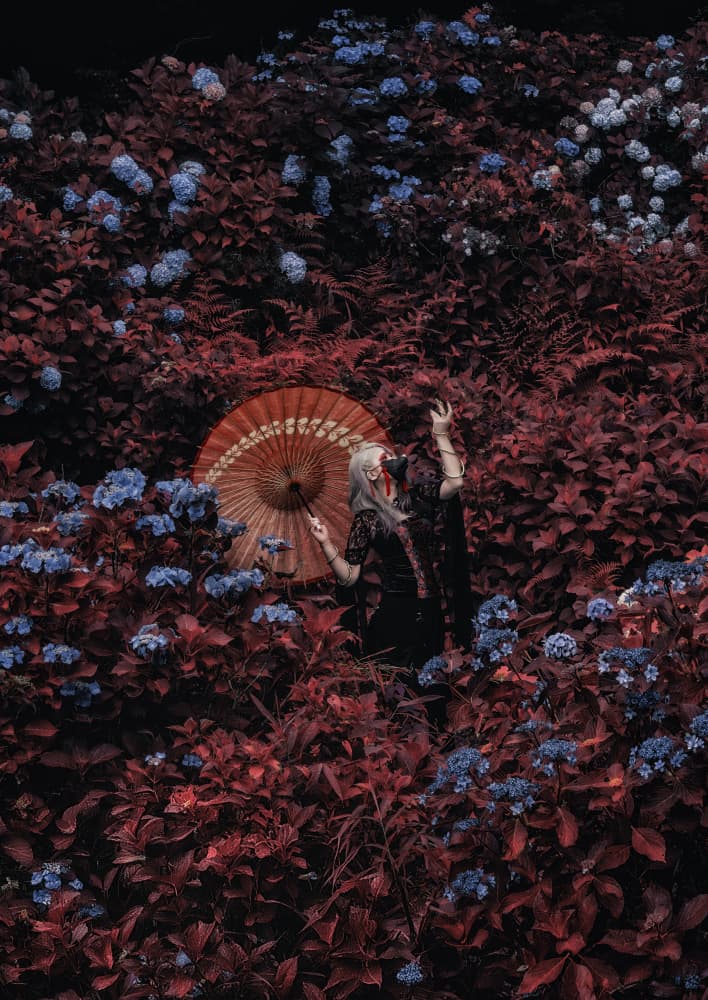 Red Garden Umbrella Dream by KOIKI — canvas wall art