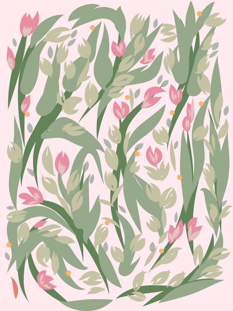 Blooming Pink Tulips by Josie George — canvas wall art