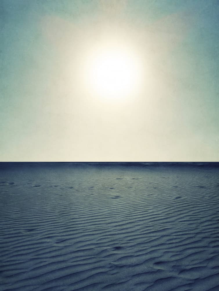 Desert Sun Horizon by Angelo Cerantola — canvas wall art