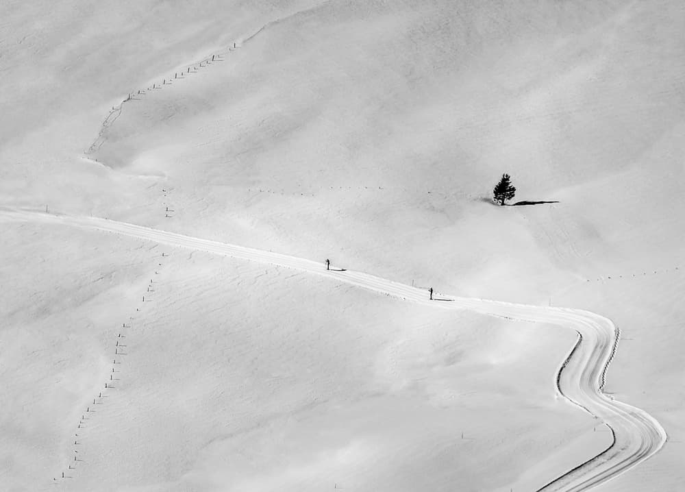 Skiers on Winter Path by Peter Svoboda MQEP — canvas wall art