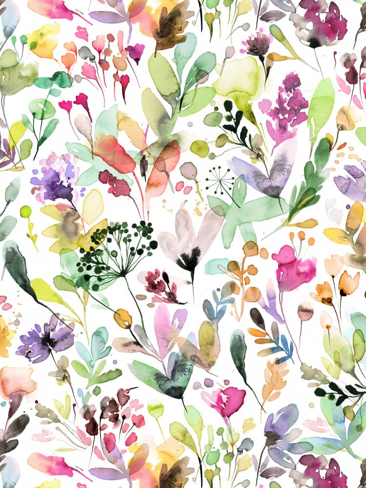 Vibrant Watercolor Botanicals by Ninola Design — canvas wall art