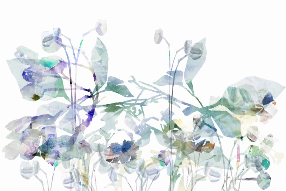 Delicate Watercolor Blooms by cartissi — canvas wall art