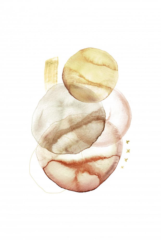Earthy Gold Shapes by Fabiana Silveira — canvas wall art