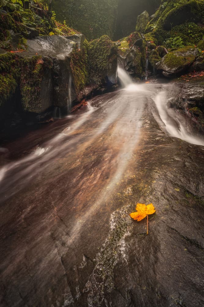 Autumn Leaf Waterfall by Andrea Maestosi — canvas wall art
