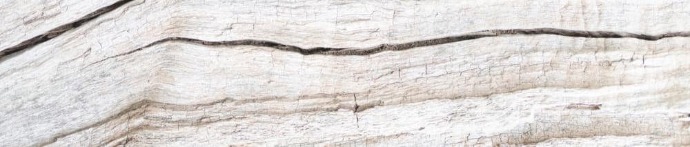 Weathered White Wood by Pictufy Studio III — canvas wall art