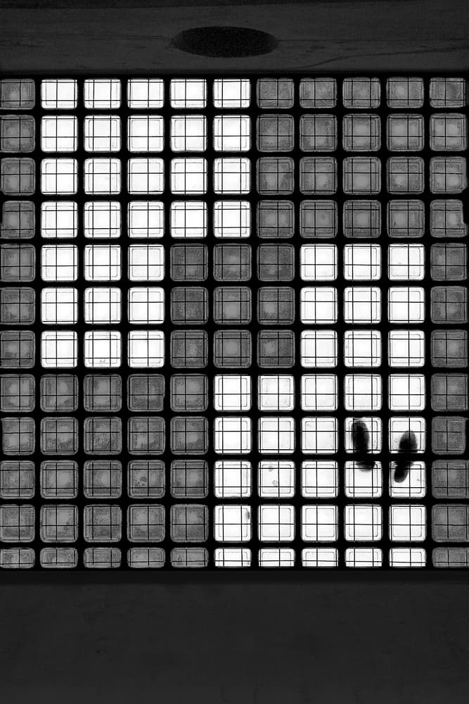 Glass Block Bird Silhouettes by Paulo Abrantes — canvas wall art