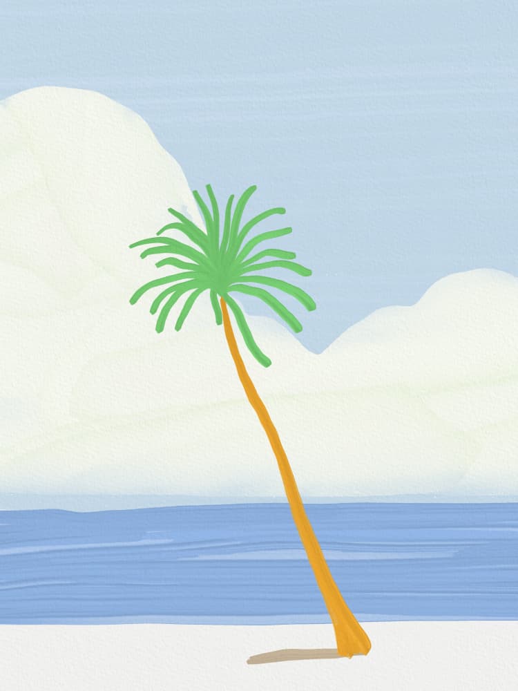 Tropical Palm Beach by Little Dean — canvas wall art