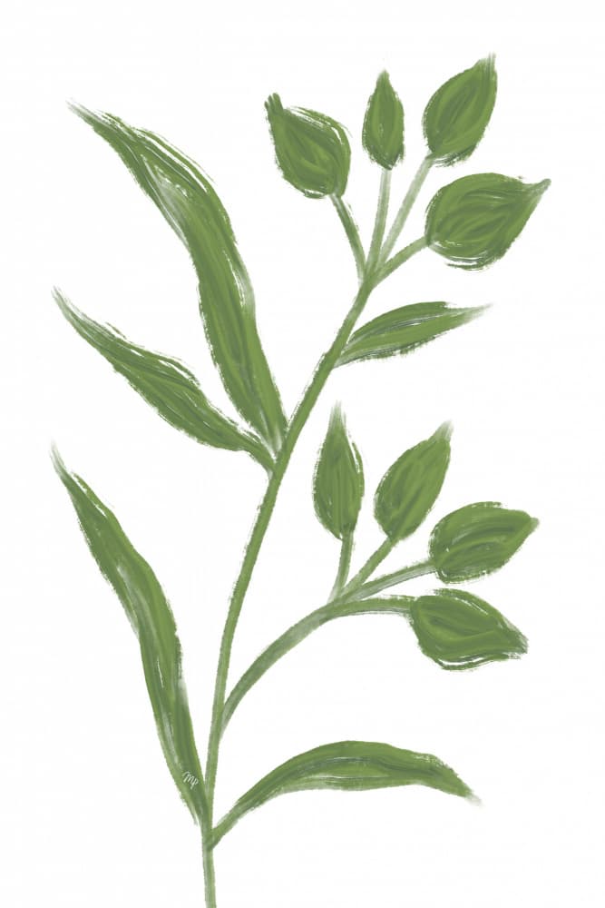Fresh Green Botanical by Martina — canvas wall art