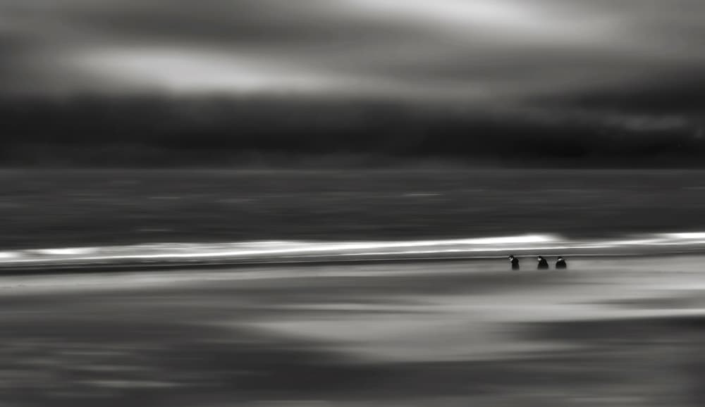 Serene Beach Figures by Yvette Depaepe — canvas wall art
