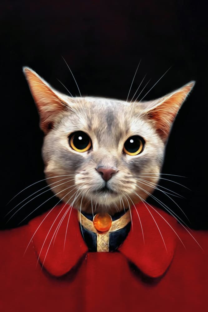Bicky by Tein Lucasson — canvas wall art