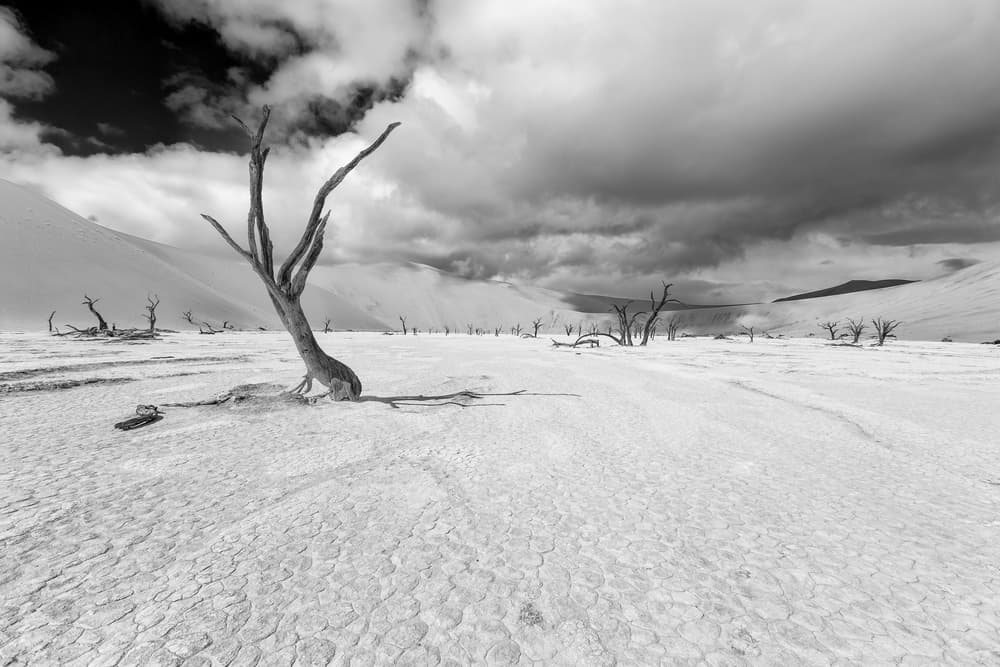 Sossusvlei by Marco Tagliarino — canvas wall art
