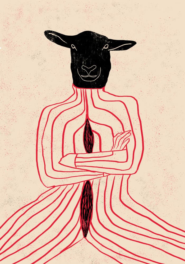 Black Sheep Figure by Gulcihan Ozguc — canvas wall art