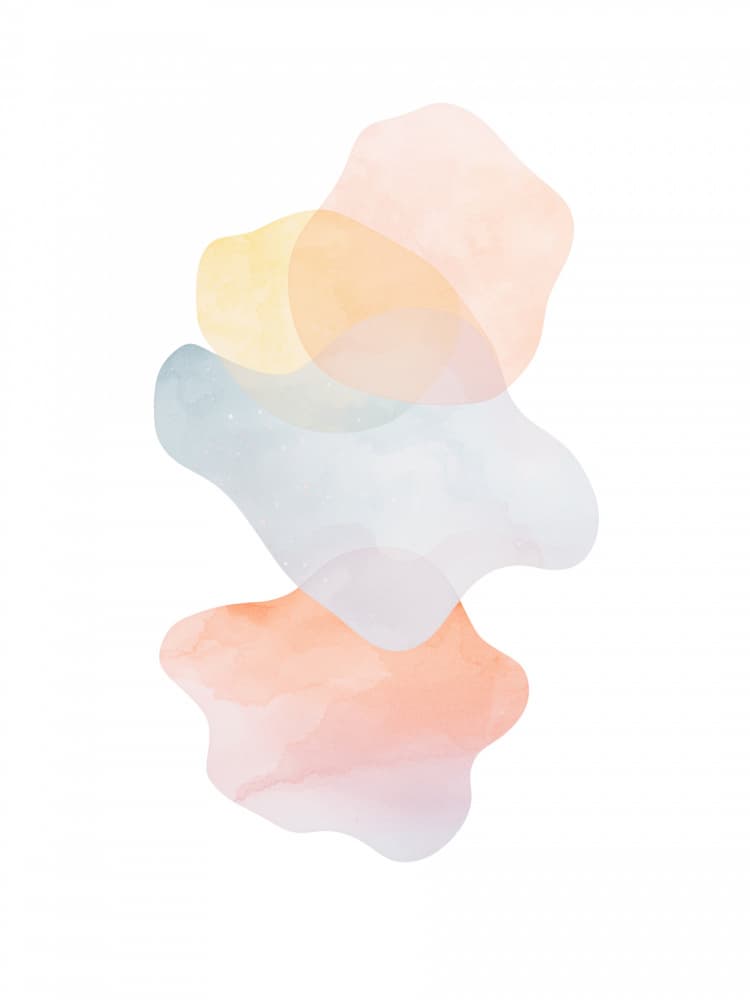 Soft Organic Shapes by Ohkimiko — canvas wall art