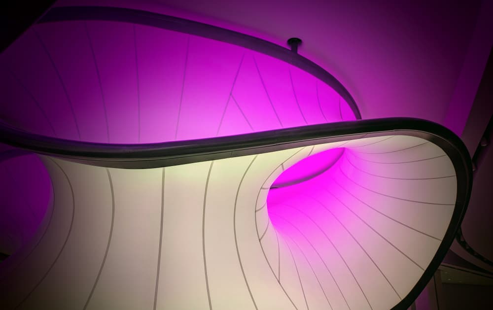 Sleek Magenta Design by Elizabeth Allen — canvas wall art