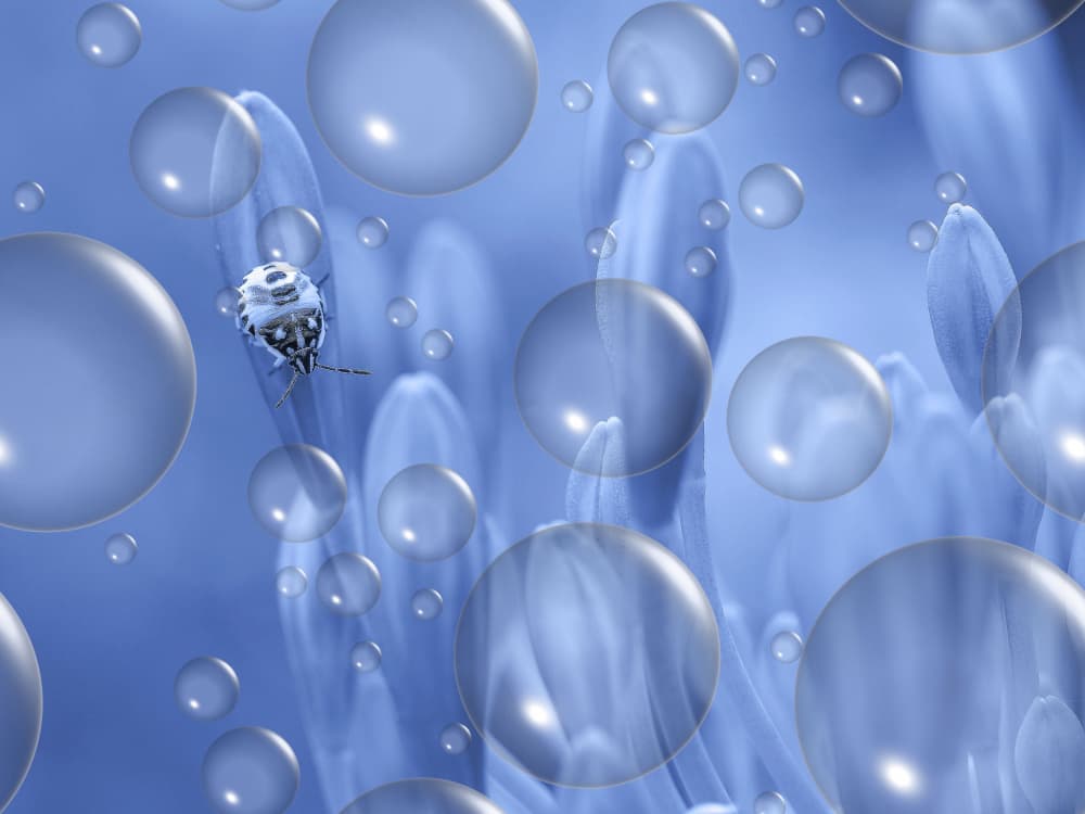 Blue Bug Bubbles by Thierry Dufour — canvas wall art