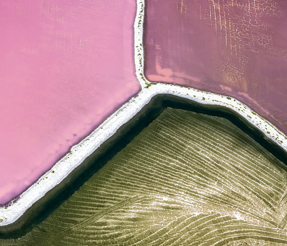 Pink Salt Pond Patterns by Robert Bolton — canvas wall art