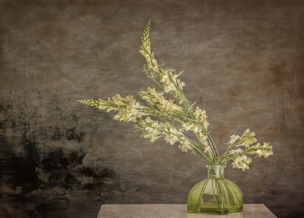 Rustic Floral Still Life by Marie-anne Stas — canvas wall art