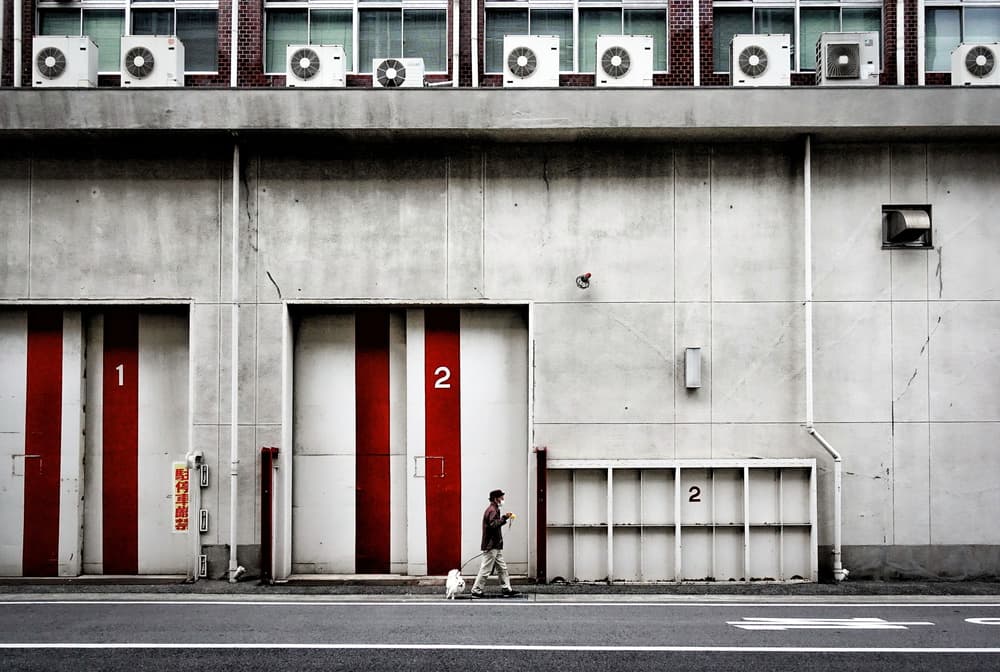 Urban Man Dog Walk by Haruyo Sakamoto — canvas wall art