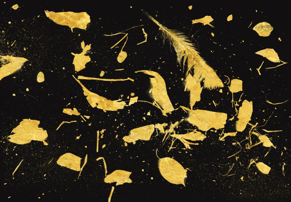 Golden Nature Scatter by Florent Bodart — canvas wall art