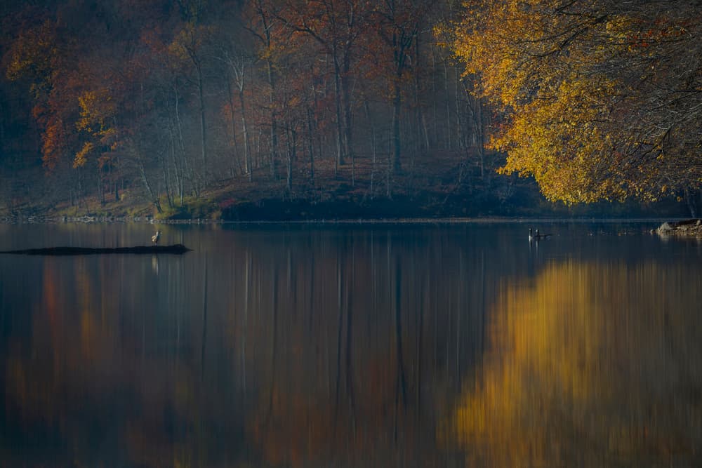 Golden Autumn Lake Reflections by James S. Chia — canvas wall art