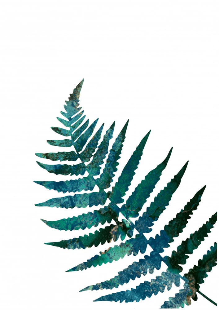 Botanical Teal Fern by Sarah Manovski — canvas wall art