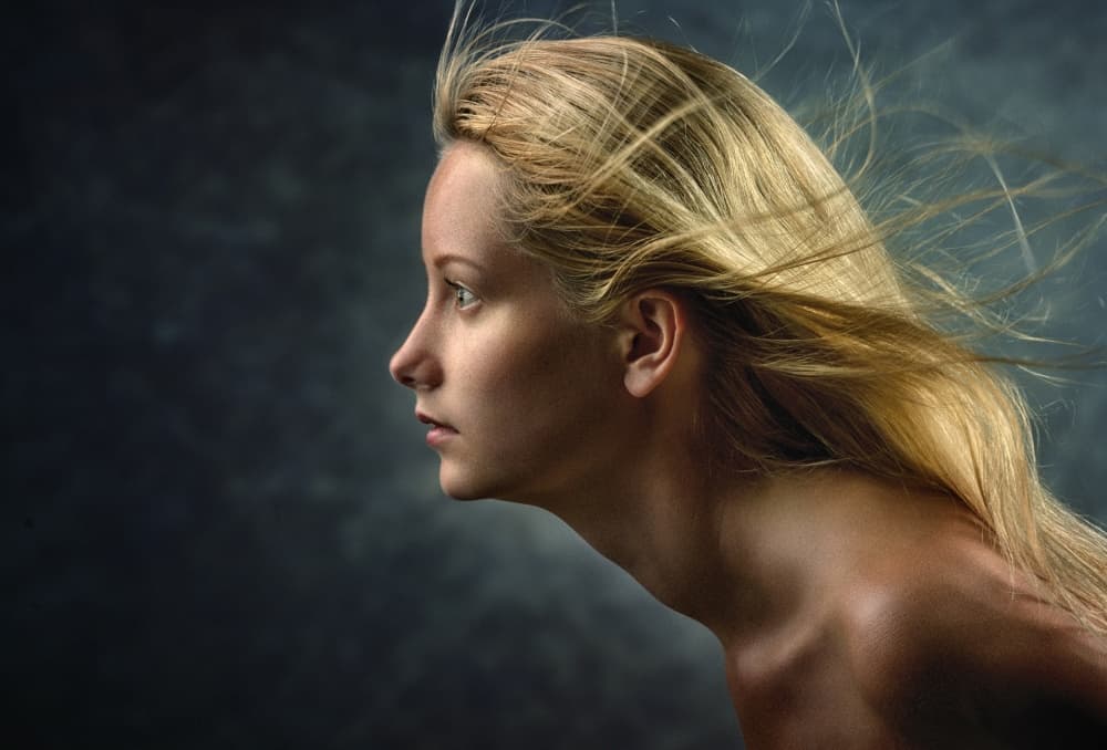 Wind Swept Profile by Konstantin Pilipchuk — canvas wall art