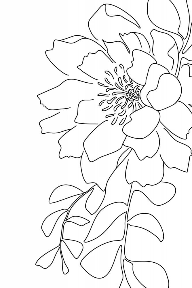 Delicate Floral Outline by Rosana Laiz Blursbyai — canvas wall art