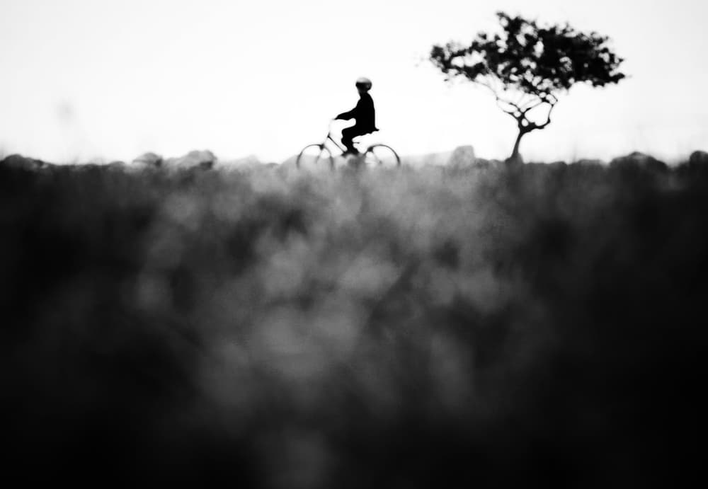 Lone Cyclist Silhouette by Ali Ayer — canvas wall art