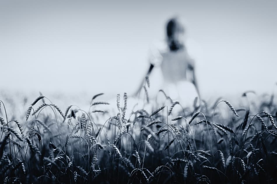 Child in Dreamy Field by Dmitry Frizel — canvas wall art