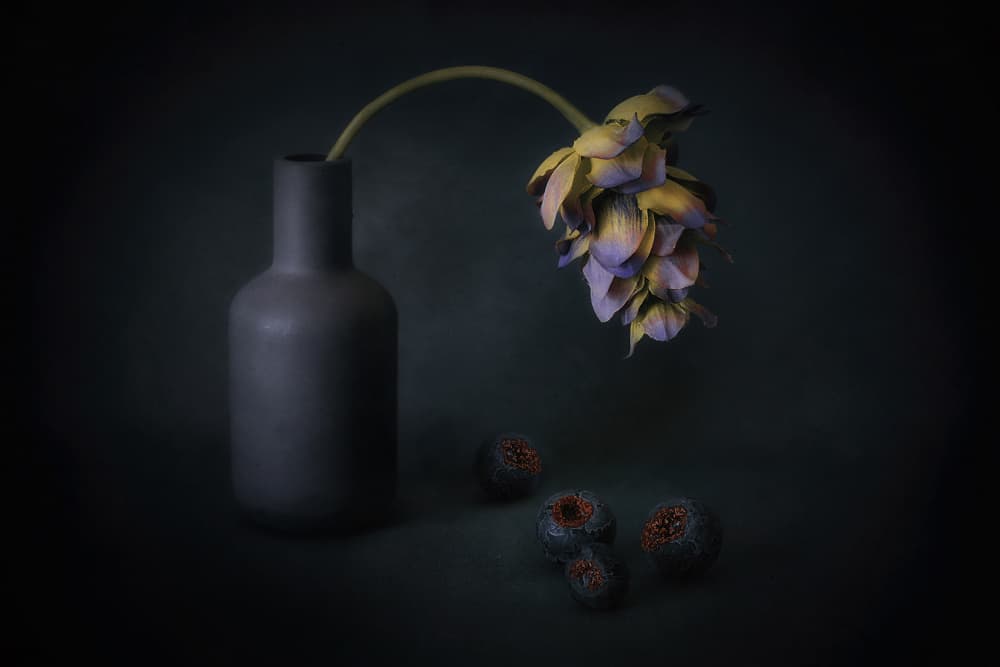 Shadowed Bloom and Berries by Elena Arjona — canvas wall art