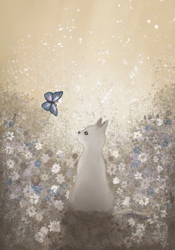 Curious Cat Butterfly by Monica Lindblom — canvas wall art
