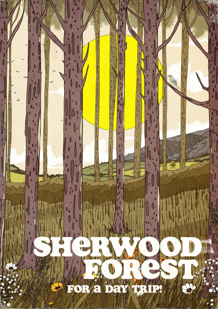 Sherwood Forest Sunlight by Nicholas — canvas wall art