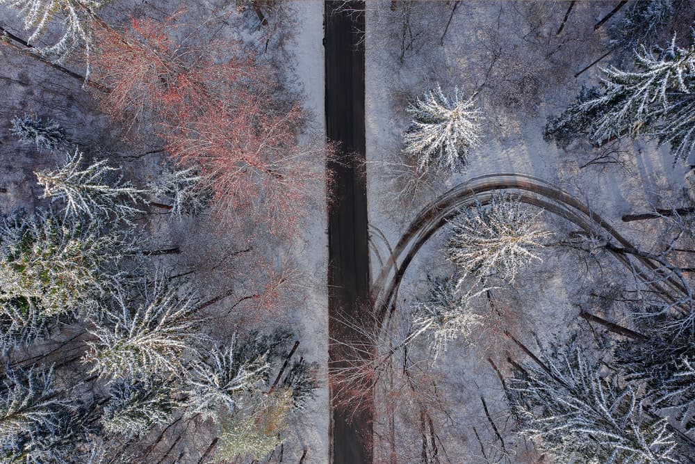 Winding Winter Forest Road by Jure Kravanja — canvas wall art