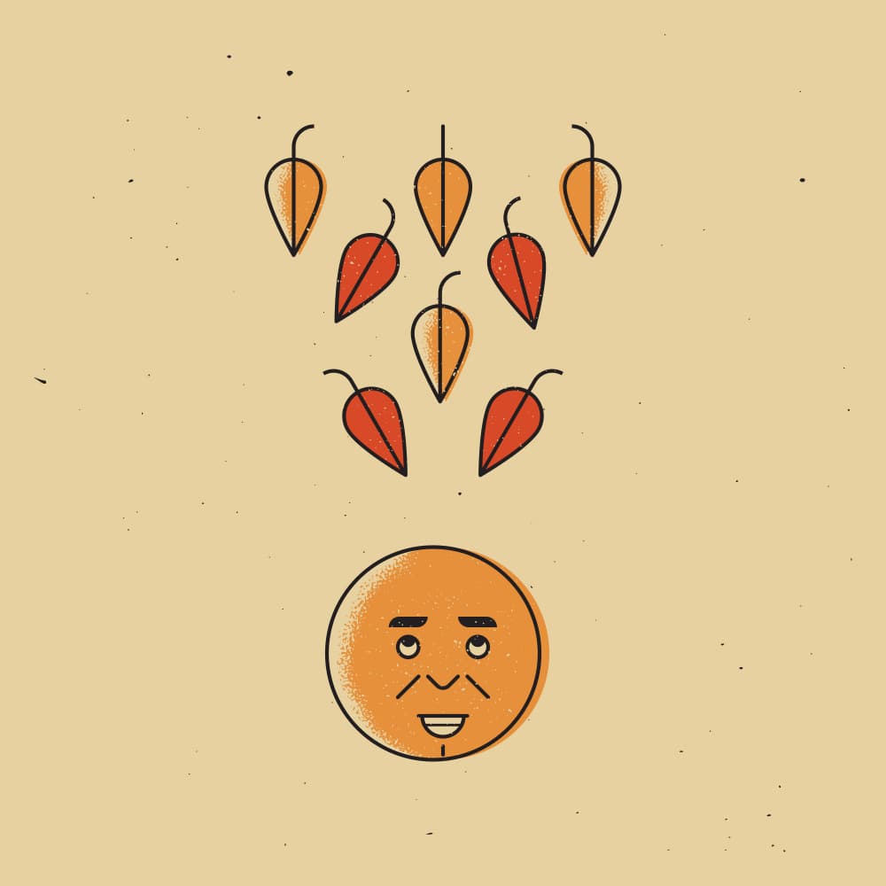 Happy Autumn Face by The Creating Mind — canvas wall art